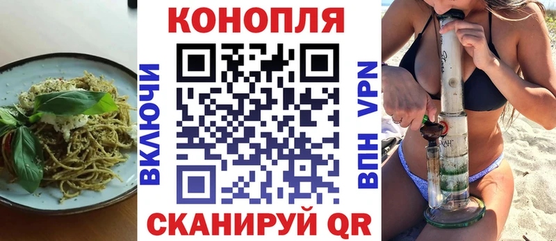 купить   Павловская  Cannafood конопля 