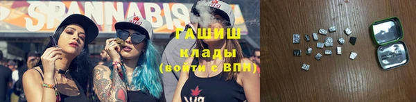ECSTASY Горняк