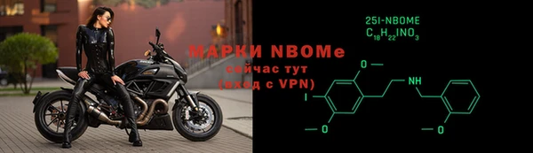ECSTASY Горняк