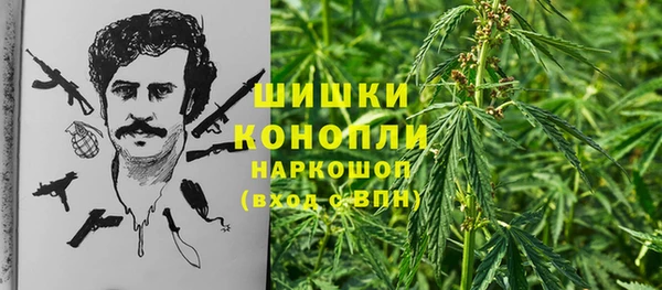 ECSTASY Горняк