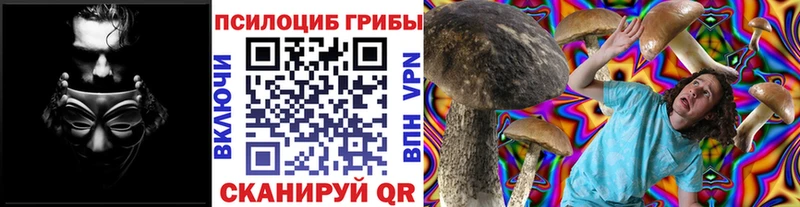 мориарти как зайти  Павловская  Псилоцибиновые грибы ЛСД 